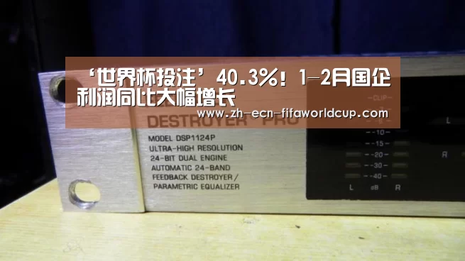 ‘世界杯投注’40.3%!1-2月国企利润同比大幅增长(图3) 世界杯投注
