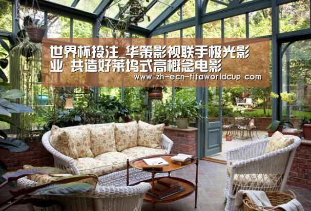世界杯投注_华策影视联手极光影业 共造好莱坞式高概念电影(图4) 世界杯投注