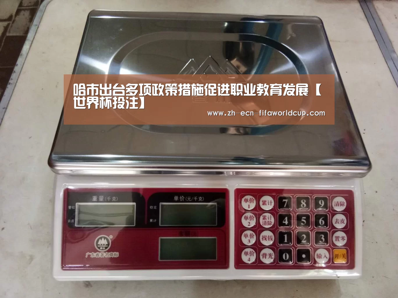 世界杯投注