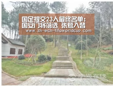 国足提交23人最终名单:国安门将落选 张鹭入替“世界杯投注”(图2) 世界杯投注