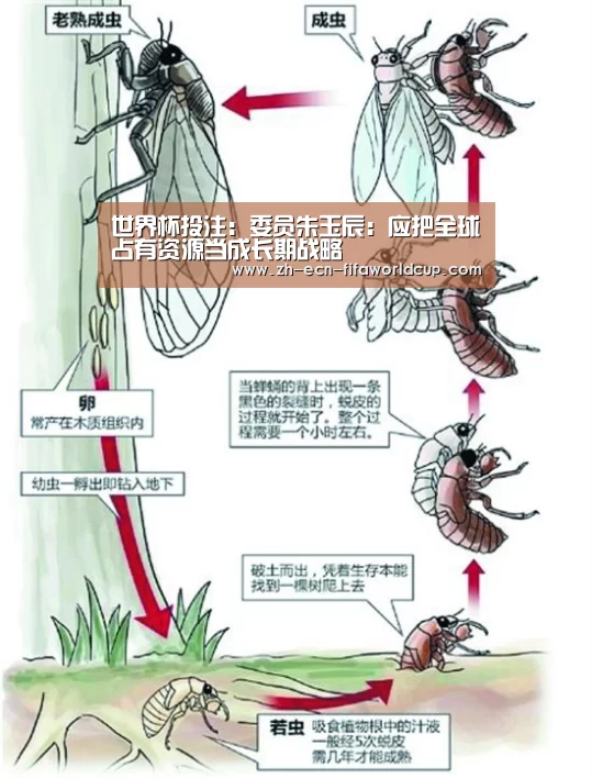 世界杯投注