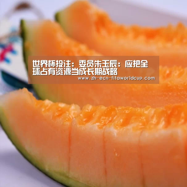 世界杯投注