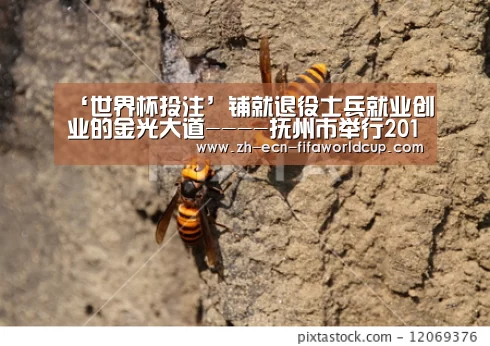‘世界杯投注’铺就退役士兵就业创业的金光大道----抚州市举行2011年春季退役士兵职业教育和技能培训开班仪式(图2) 世界杯投注