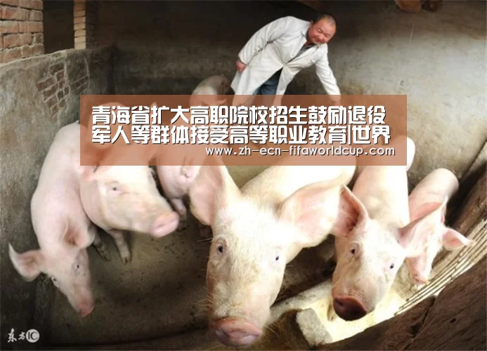 青海省扩大高职院校招生鼓励退役军人等群体接受高等职业教育|世界杯投注(图2) 世界杯投注