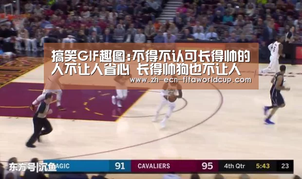搞笑GIF趣图:不得不认可长得帅的人不让人省心 长得帅狗也不让人省心!【世界杯投注】(图4) 世界杯投注