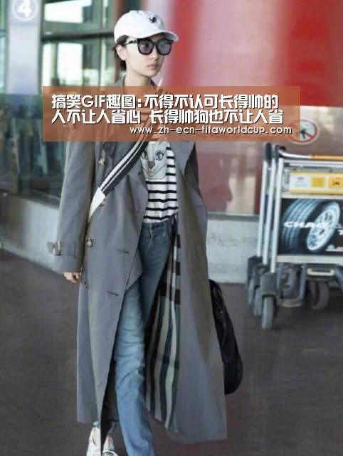 搞笑GIF趣图:不得不认可长得帅的人不让人省心 长得帅狗也不让人省心!【世界杯投注】(图5) 世界杯投注