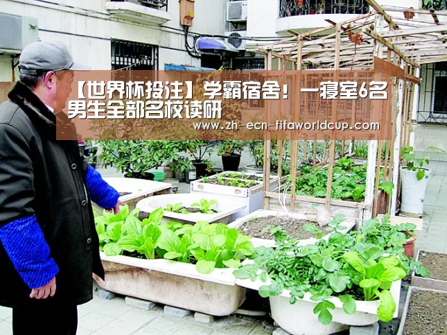 世界杯投注