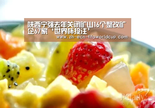 陕西宁强去年关闭矿山16个整改矿企67家‘世界杯投注’(图3) 世界杯投注