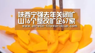 陕西宁强去年关闭矿山16个整改矿企67家‘世界杯投注’(图1) 世界杯投注