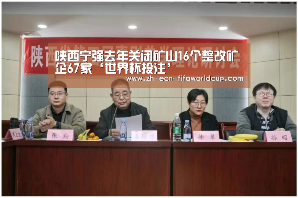 陕西宁强去年关闭矿山16个整改矿企67家‘世界杯投注’(图2) 世界杯投注