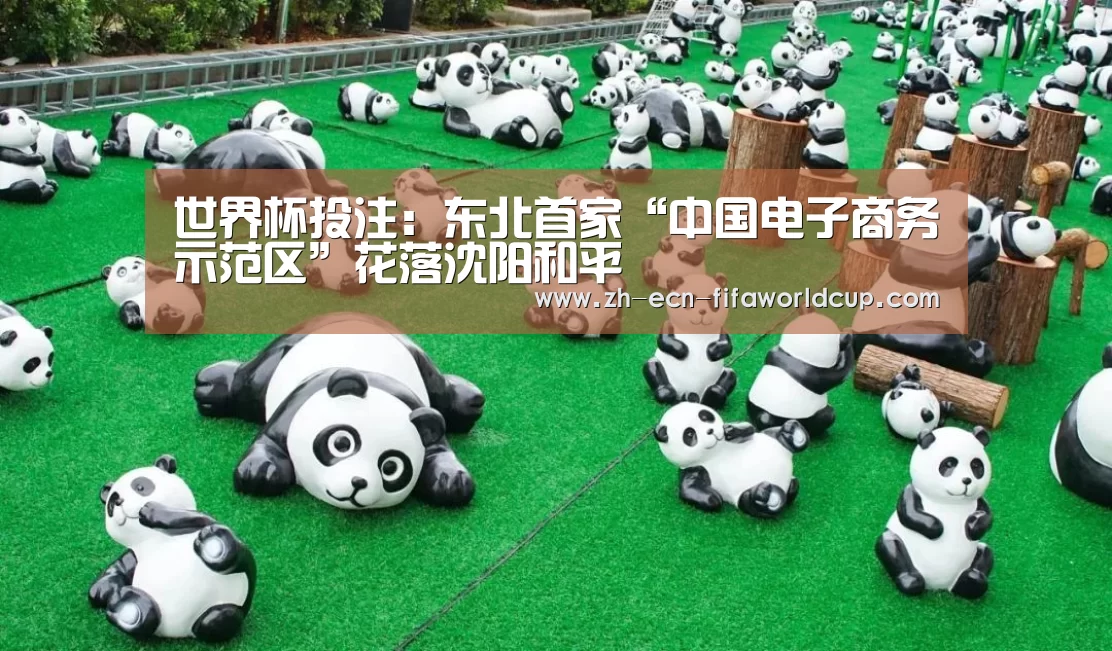 世界杯投注:东北首家“中国电子商务示范区”花落沈阳和平(图2) 世界杯投注
