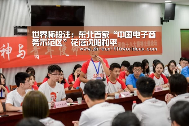 世界杯投注:东北首家“中国电子商务示范区”花落沈阳和平(图3) 世界杯投注