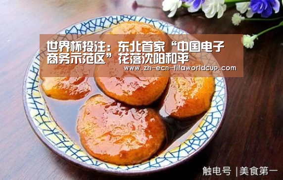 世界杯投注:东北首家“中国电子商务示范区”花落沈阳和平(图4) 世界杯投注
