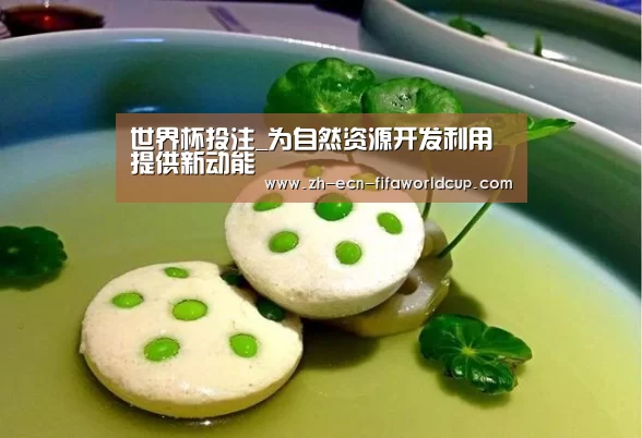 世界杯投注
