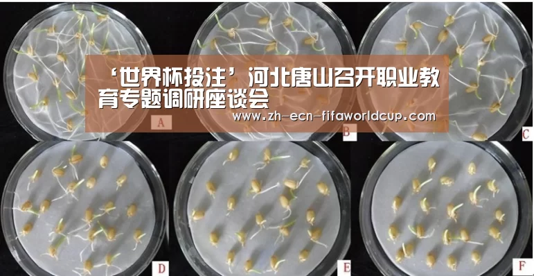 ‘世界杯投注’河北唐山召开职业教育专题调研座谈会(图1) 世界杯投注