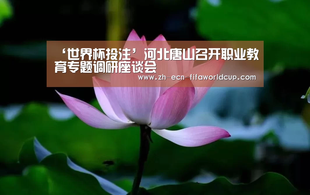 ‘世界杯投注’河北唐山召开职业教育专题调研座谈会(图3) 世界杯投注