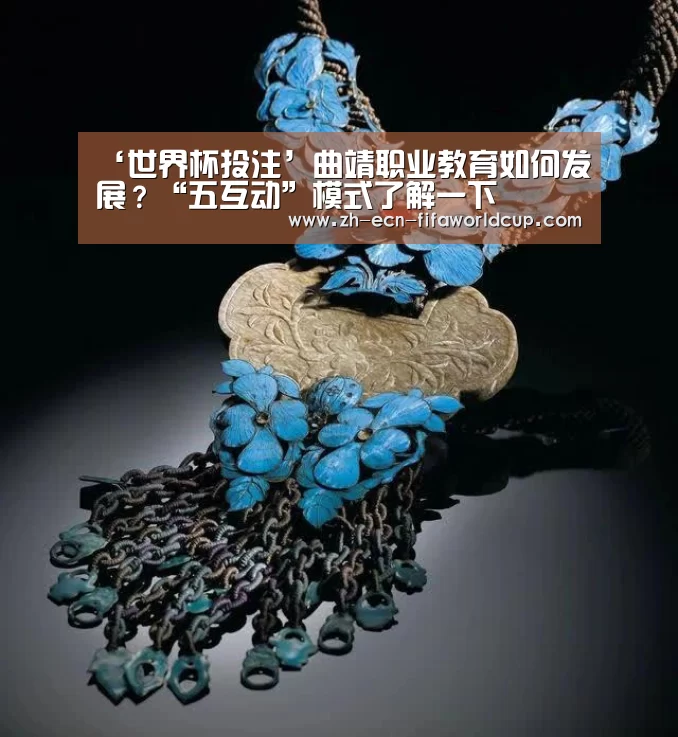 ‘世界杯投注’曲靖职业教育如何发展?“五互动”模式了解一下(图4) 世界杯投注