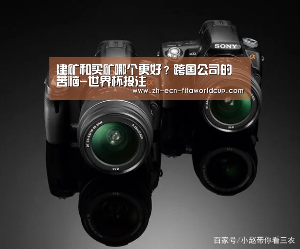 建矿和买矿哪个更好?跨国公司的苦恼-世界杯投注(图4) 世界杯投注