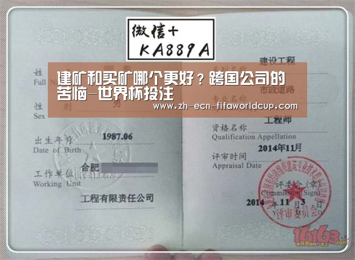 建矿和买矿哪个更好?跨国公司的苦恼-世界杯投注(图3) 世界杯投注
