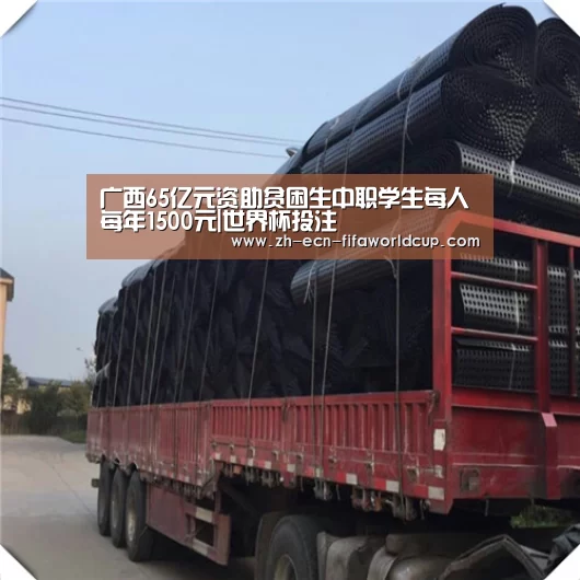 广西65亿元资助贫困生中职学生每人每年1500元|世界杯投注(图1) 世界杯投注