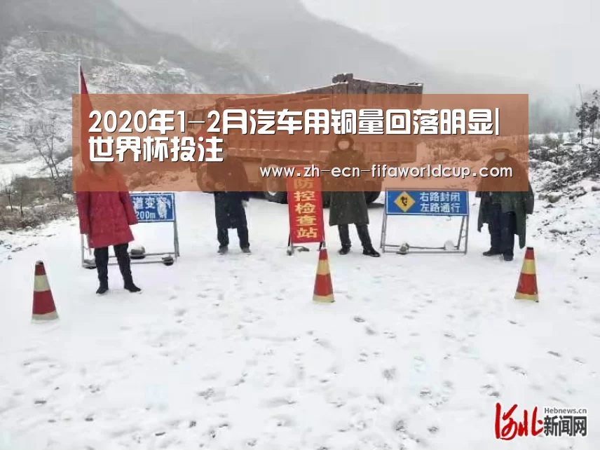 2020年1-2月汽车用铜量回落明显|世界杯投注(图2) 世界杯投注