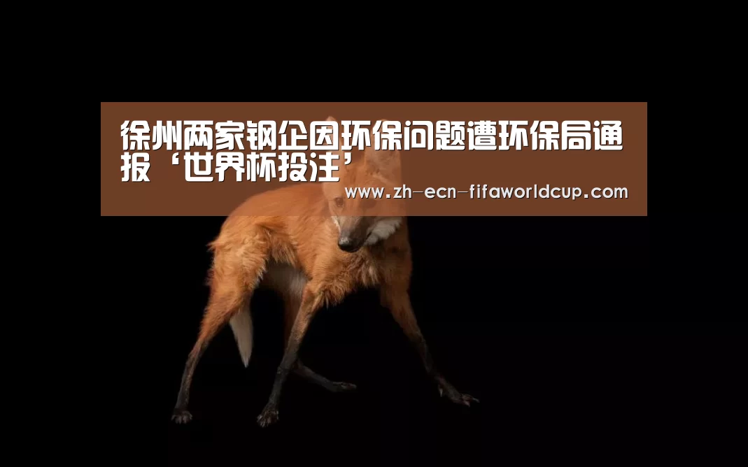 世界杯投注