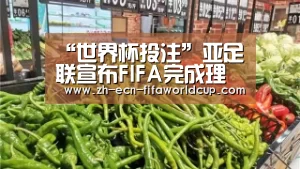 “世界杯投注”亚足联宣布FIFA完成理事审核 张剑正式参加竞选(图1) 世界杯投注