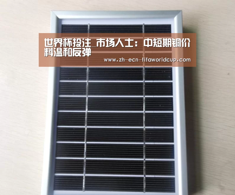 世界杯投注_市场人士:中短期铜价料温和反弹(图1) 世界杯投注