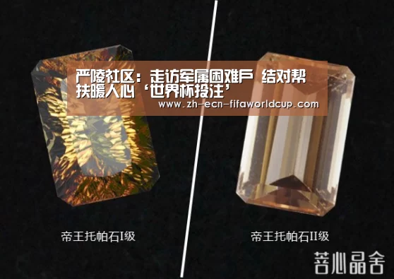 严陵社区:走访军属困难户 结对帮扶暖人心‘世界杯投注’(图3) 世界杯投注