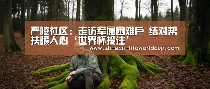 严陵社区:走访军属困难户 结对帮扶暖人心‘世界杯投注’(图4) 世界杯投注