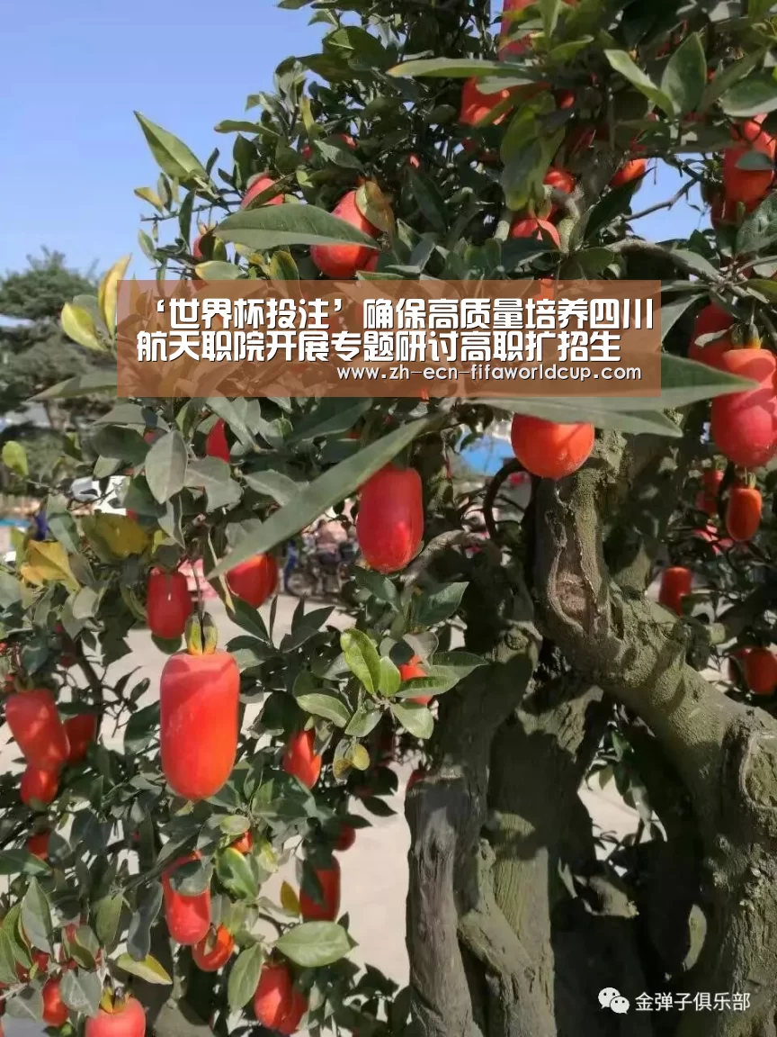 ‘世界杯投注’确保高质量培养四川航天职院开展专题研讨高职扩招生源教育教学工作(图1) 世界杯投注