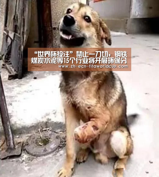 “世界杯投注”禁止一刀切,钢铁煤炭水泥等15个行业将开展环保分级评价(图2) 世界杯投注