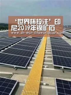 ‘世界杯投注’印尼2019年镍矿石产量大增(图1) 世界杯投注